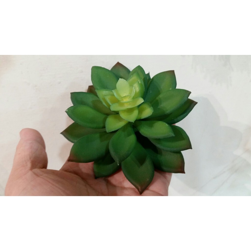 【台灣現貨速發】多肉植物系列--大石蓮花(人造)