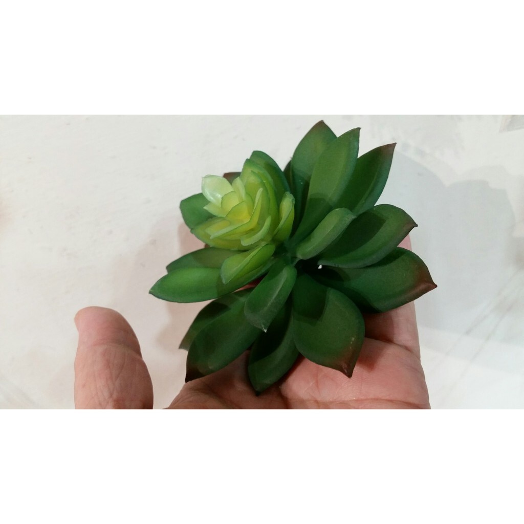 【台灣現貨速發】多肉植物系列--大石蓮花(人造)