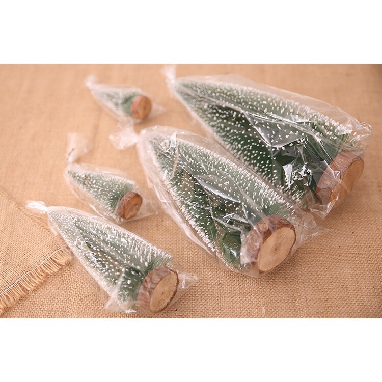 【台灣現貨速發】聖誕樹 20公分 小聖誕樹 針葉松樹 聖誕節