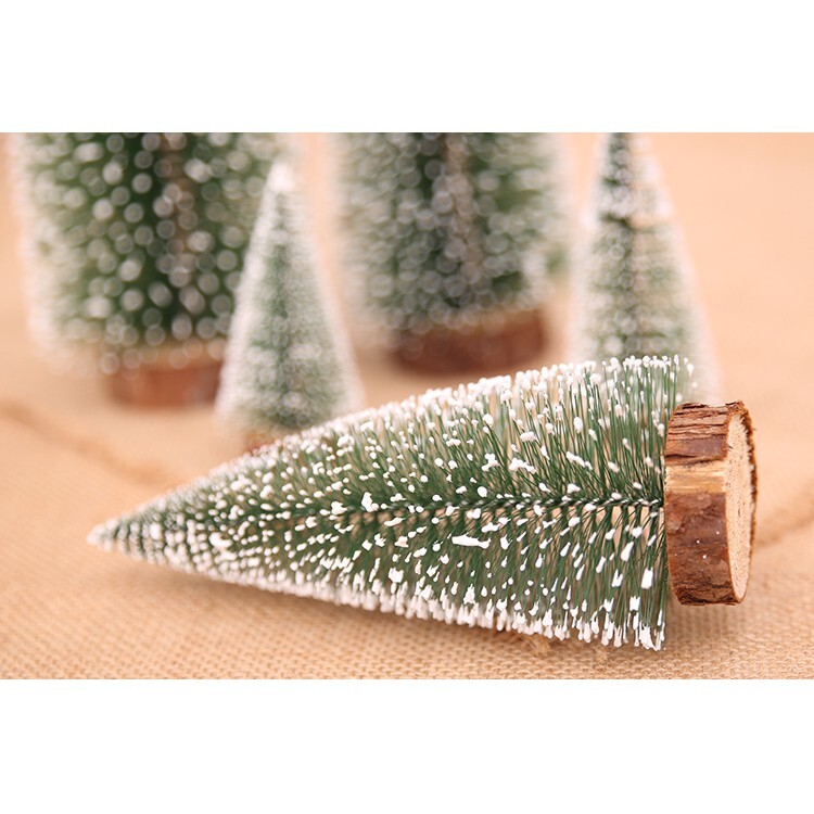 【台灣現貨速發】聖誕樹 20公分 小聖誕樹 針葉松樹 聖誕節