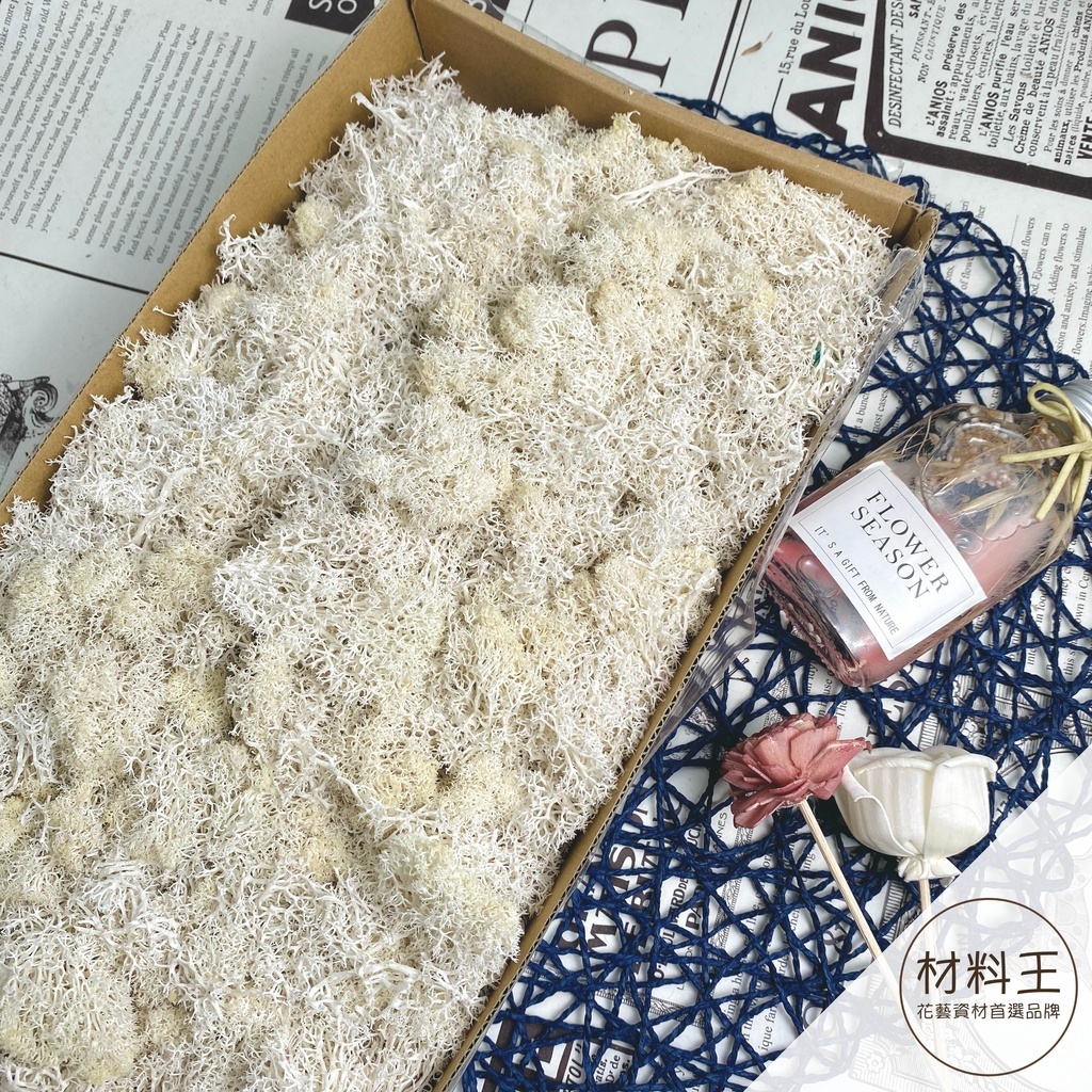 【台灣現貨速發】永生水草苔蘚 馴鹿苔蘚｜１００克裝 ｜多種顏色 苔蘚 水草 永生花 乾燥花