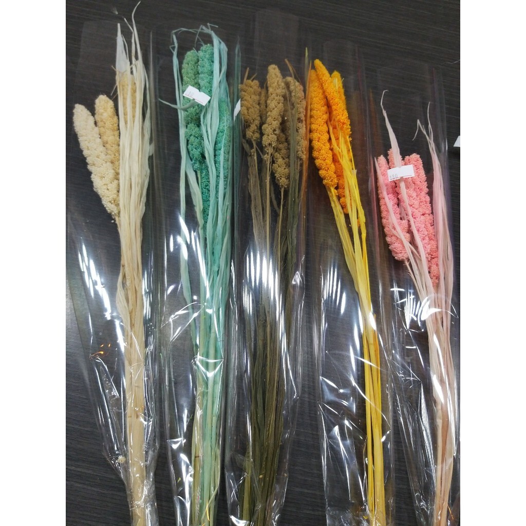 【台灣現貨速發】小米//高粱 **乾花1束5支100元**有現貨