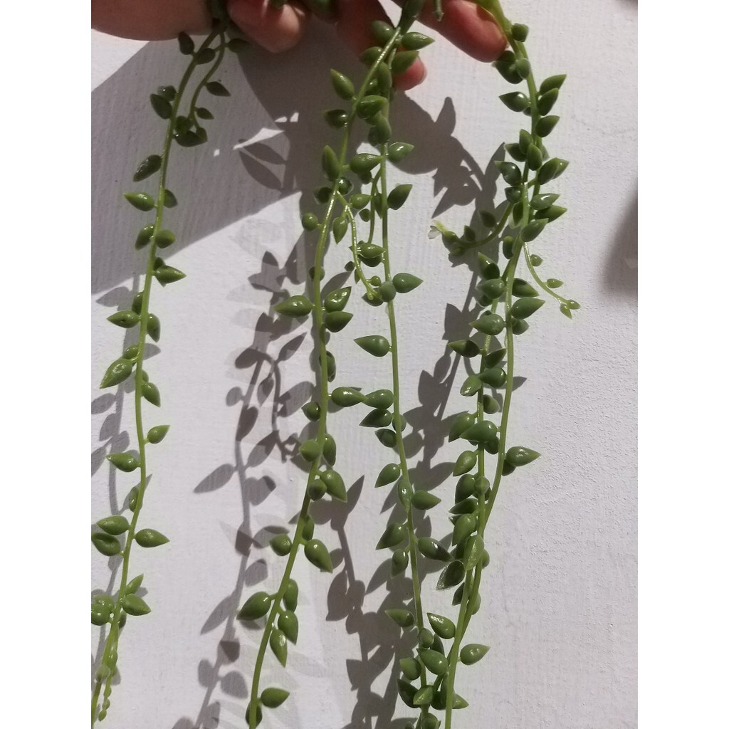 【台灣現貨速發】D101---人造垂葉**(小顆植物豆)眼淚珠**項鍊珠**嬰兒眼淚