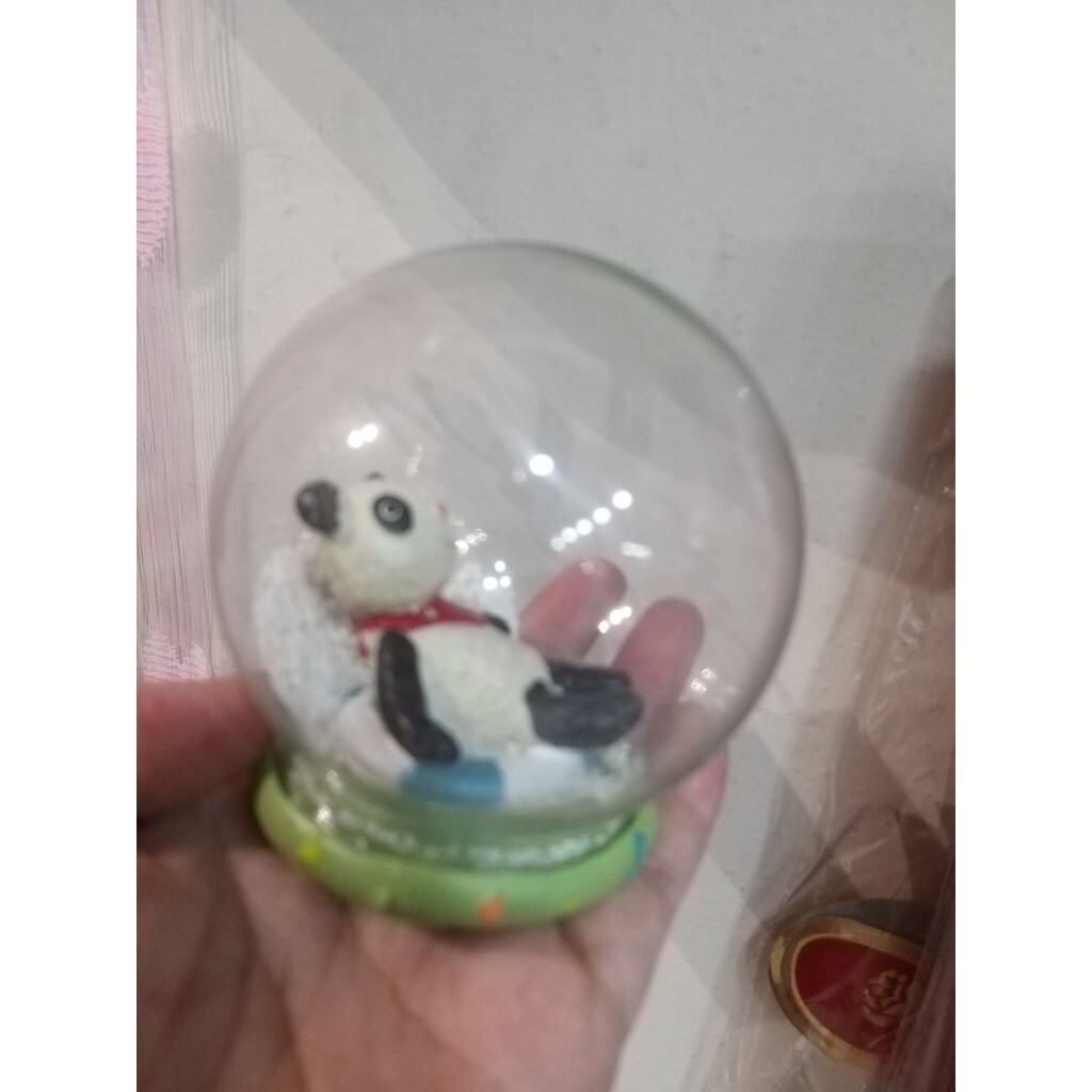 【台灣現貨速發】多肉植物 微景觀小公仔 熊貓／青蛙／大象(水晶球系列)