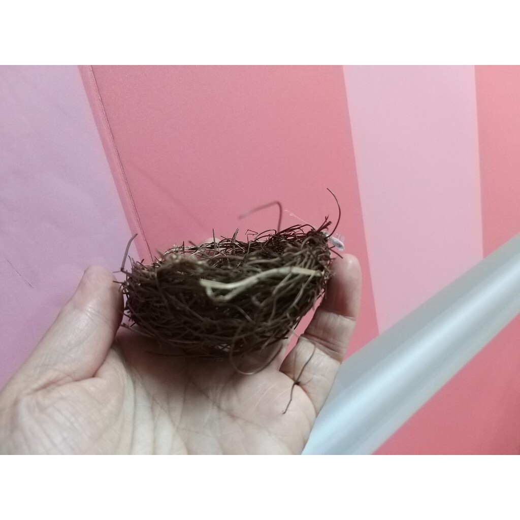 【台灣現貨速發】鳥窩//細柳藤鳥巢(小)6-7公分