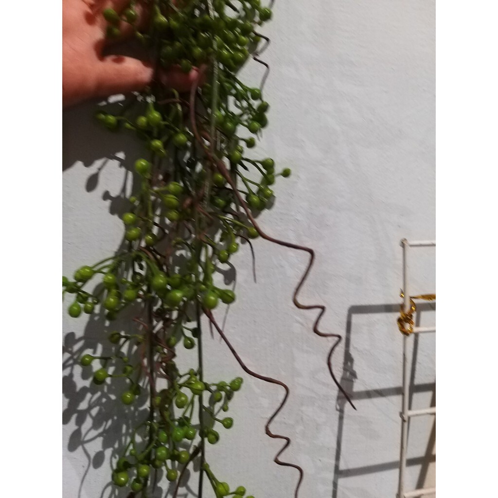 【台灣現貨速發】小綠果子垂藤｜仿真 人造花 垂藤 人造垂葉 仿真藤條花藤 人造仿真植物 創意仿真植物 垂葉壁掛 裝飾