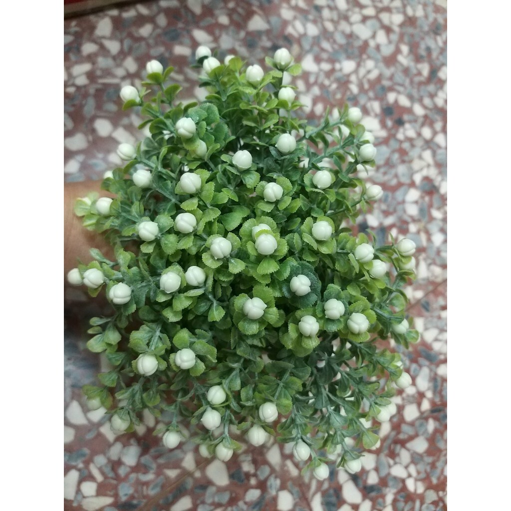 【台灣現貨速發】乾花花束//多肉植物--小白果/小圓果枝葉(人造花)一枝10圓