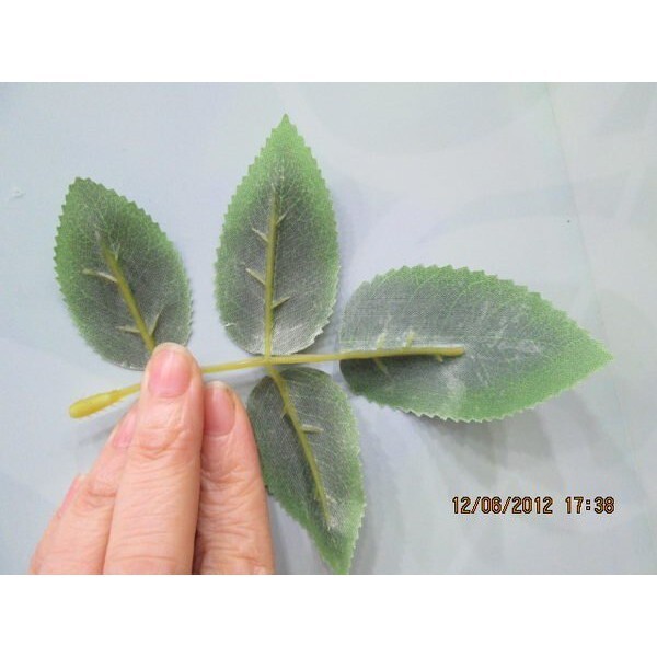 【台灣現貨速發】編號D09----5岔人造玫瑰葉子***有現貨