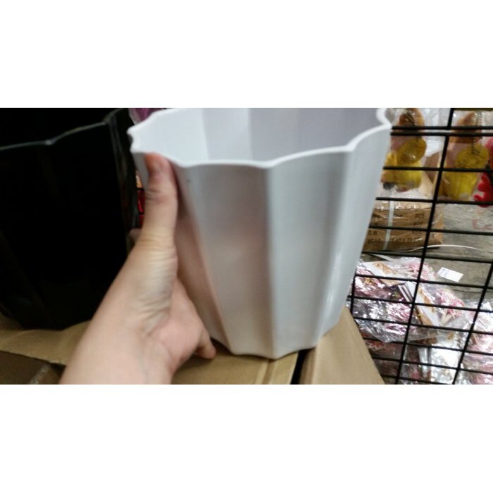 【台灣現貨速發】多肉植物//組盆景-編號M110白//黑色圓型波浪花邊花盆(花器小100元**有現貨