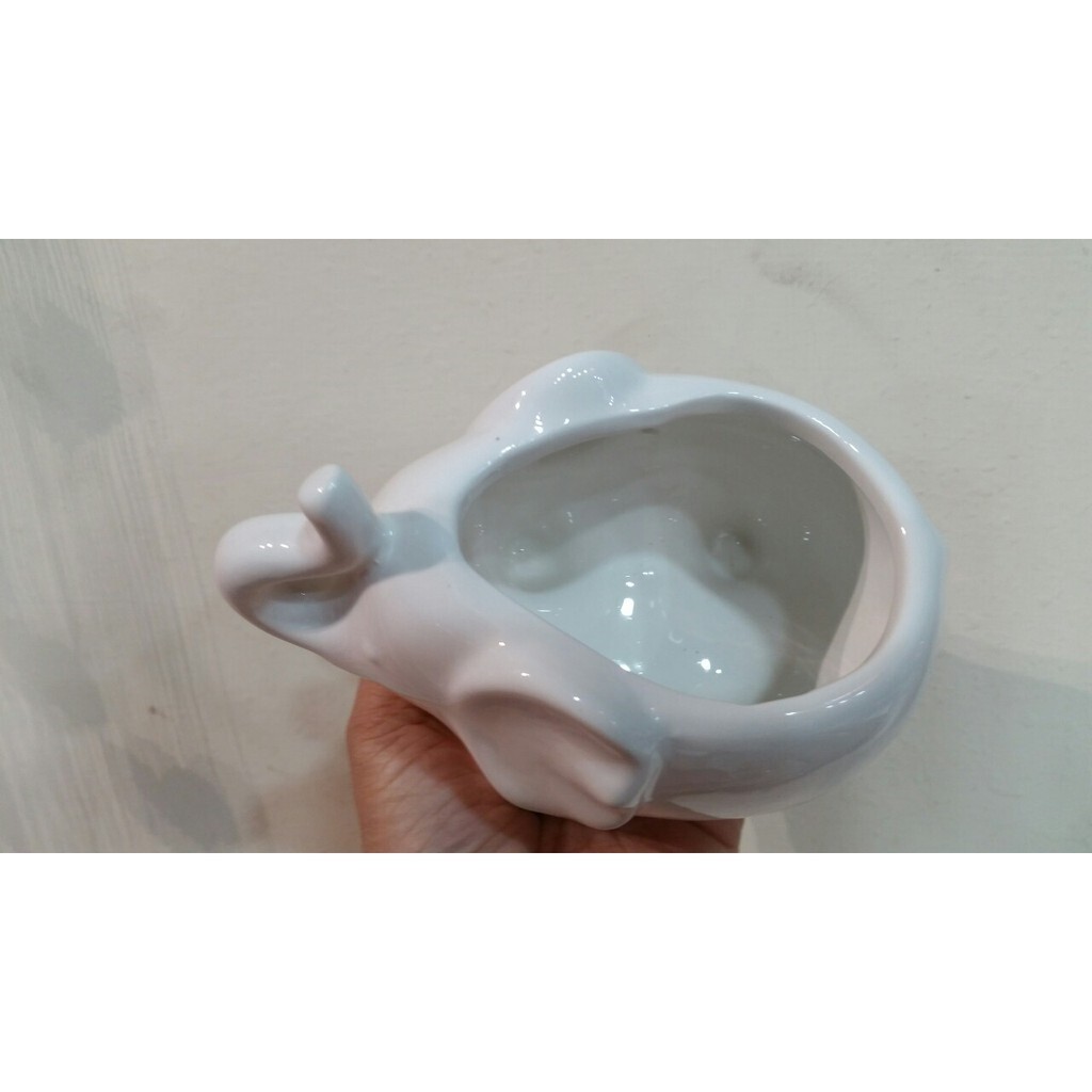 【台灣現貨速發】種多肉//插乾花--M284-大象造型花器65元有現貨