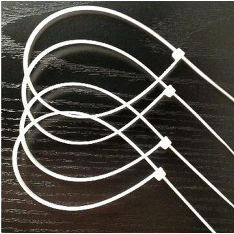 【台灣現貨速發】束帶 花束綁帶 塑膠扎帶 扎帶 [ 小份量賣場 ] | 3種尺寸 12 , 20 , 25公分