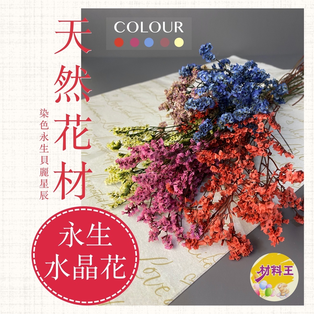 【台灣現貨速發】永生貝麗星辰 乾燥貝麗星辰 水晶花 花材｜1/4把１００元｜乾燥花 永生花 乾燥花材 花材 星辰花