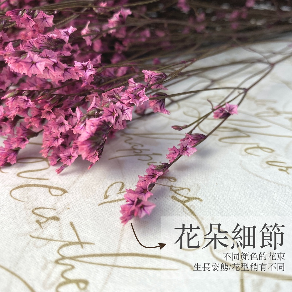 【台灣現貨速發】永生貝麗星辰 乾燥貝麗星辰 水晶花 花材｜1/4把１００元｜乾燥花 永生花 乾燥花材 花材 星辰花