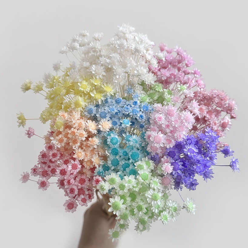【台灣現貨速發】小星花 乾花 迷你小花頭