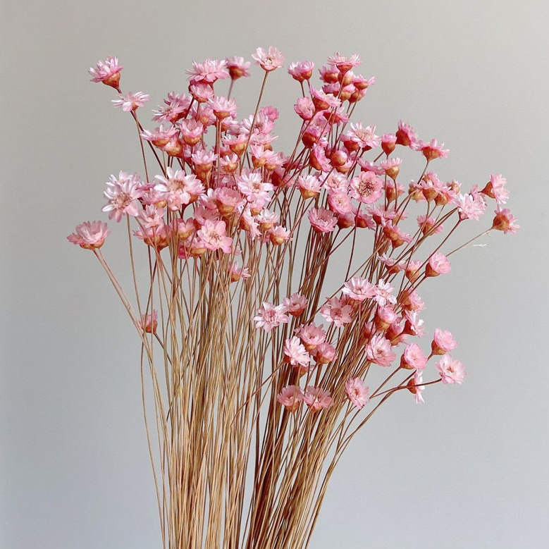 【台灣現貨速發】小星花 乾花 迷你小花頭