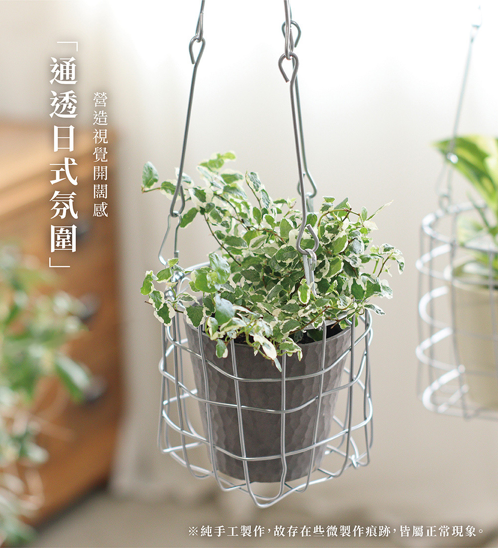 《Creer》Dusaule系列 柳木植物吊盆(2尺寸)