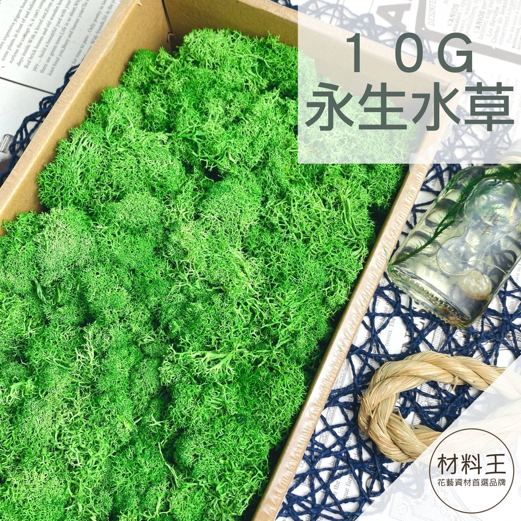 【台灣現貨速發】永生水草苔蘚 馴鹿苔蘚 ｜１０克裝｜多種顏色 苔蘚 水草 永生花 乾燥花
