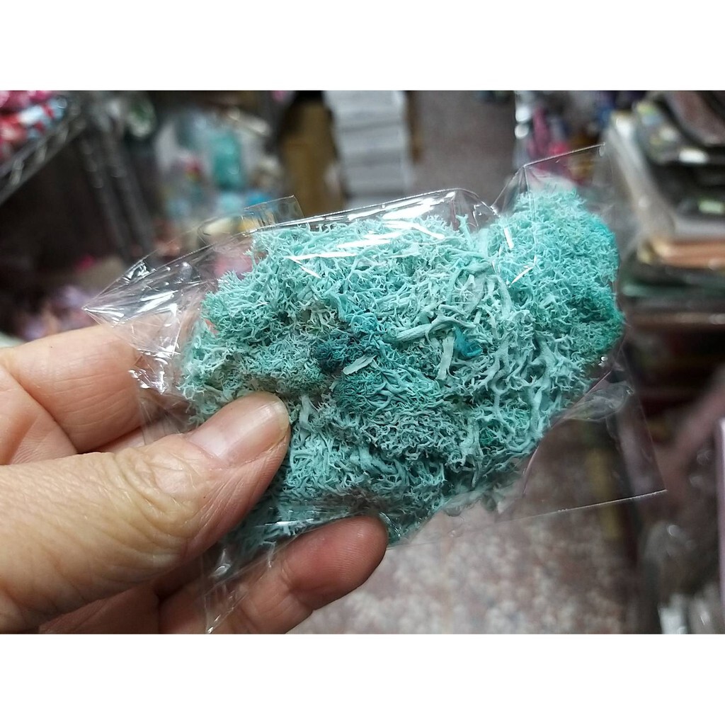 【台灣現貨速發】永生水草苔蘚 馴鹿苔蘚 ｜１０克裝｜多種顏色 苔蘚 水草 永生花 乾燥花