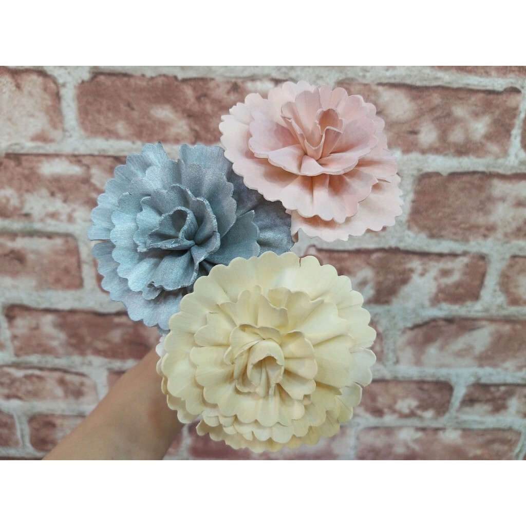 【台灣現貨速發】8公分大圓花邊索拉乾花//通草花//擴香花//香薰花35圓