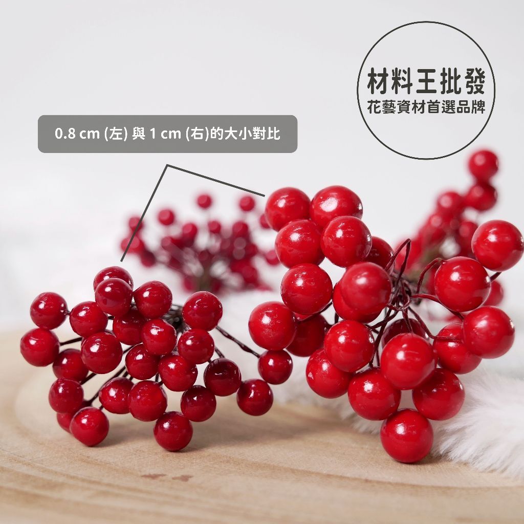 【台灣現貨速發】雙頭果子枝 漿果 果子枝 聖誕圈材料 花圈｜一把20元 批發15元｜花插 蛋糕裝飾 花藝裝飾 小花插