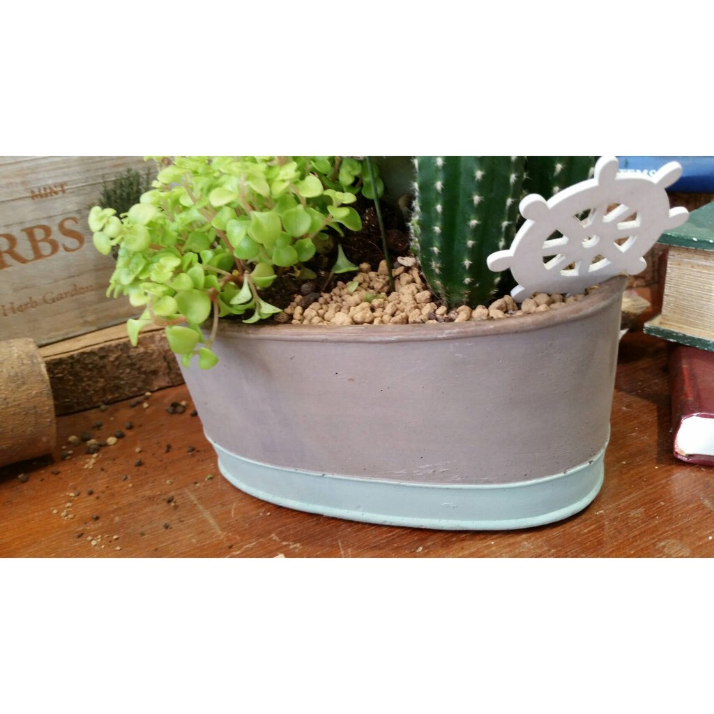 【台灣現貨速發】材料王批發**多肉盆器//水泥盆//橢圓造型花器