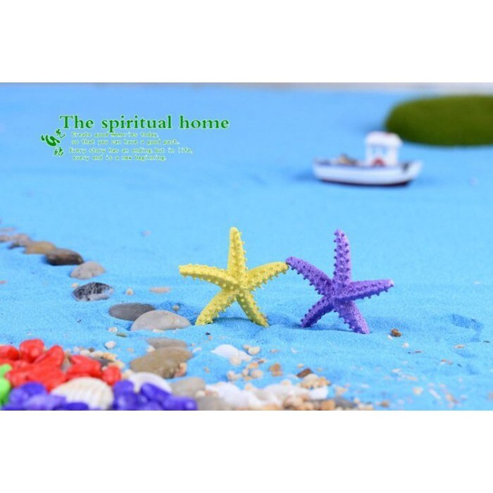 【台灣現貨速發】多肉植物//微景觀小公仔//小玩偶(4公分海星)