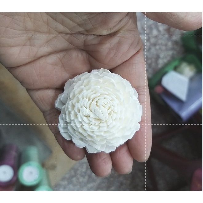 【台灣現貨速發】3公分白色兵乓菊 索拉乾花  開心菊 通草花 擴香花 香薰花