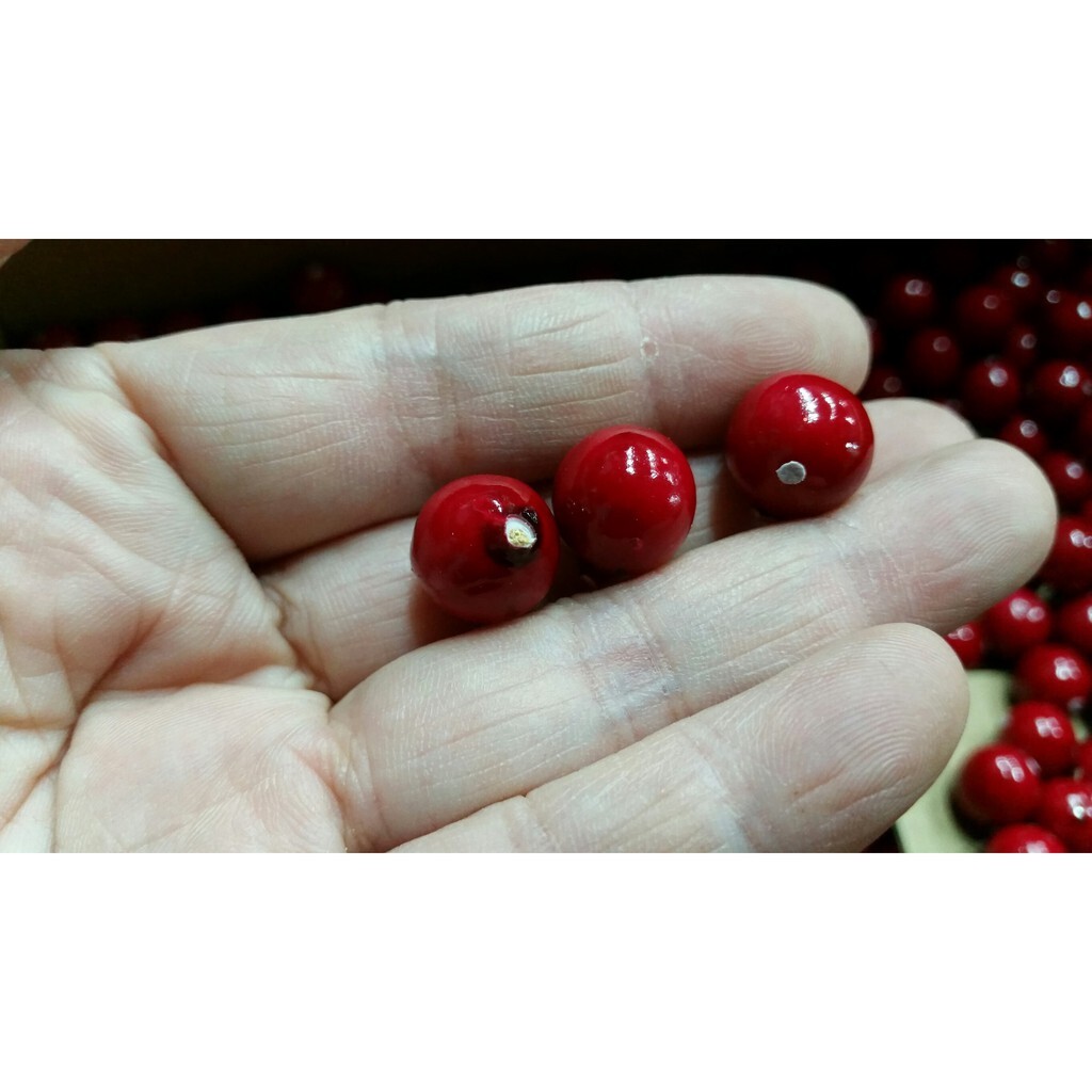 【台灣現貨速發】一顆約0/5元-零散紅綠果子一包300顆下標處