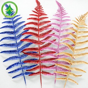 【台灣現貨速發】亮粉聖誕花--孔雀翎葉//高山蕨類