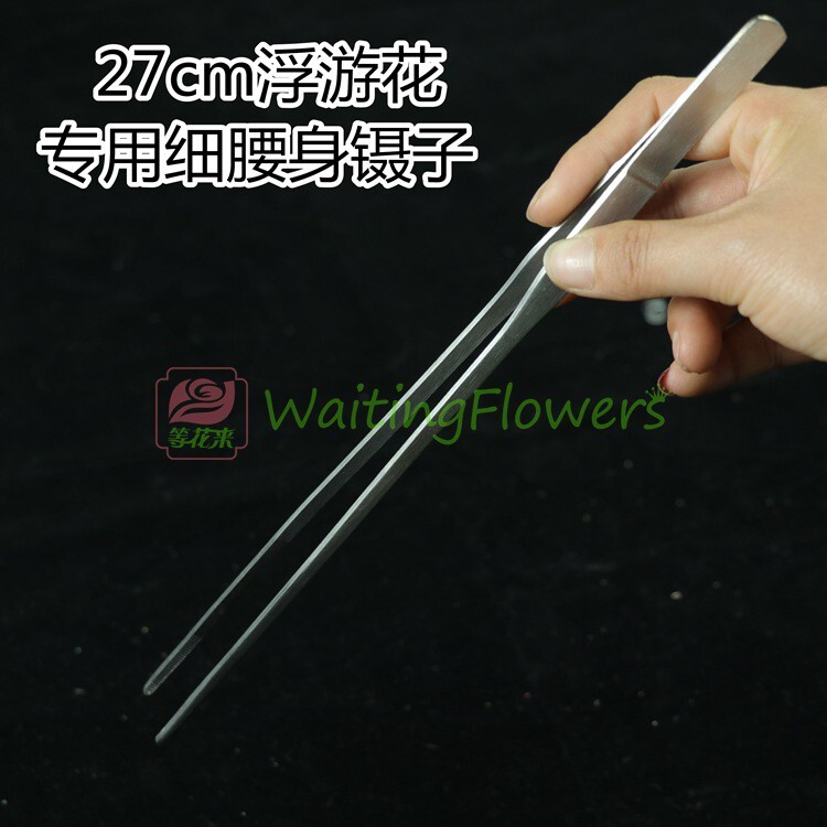 【台灣現貨速發】永生花//浮油花//多肉植物專用長夾子25-27公分)