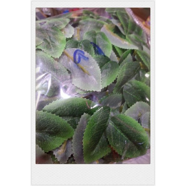 【台灣現貨速發】單片玫瑰葉子50片*0.5圓=25元