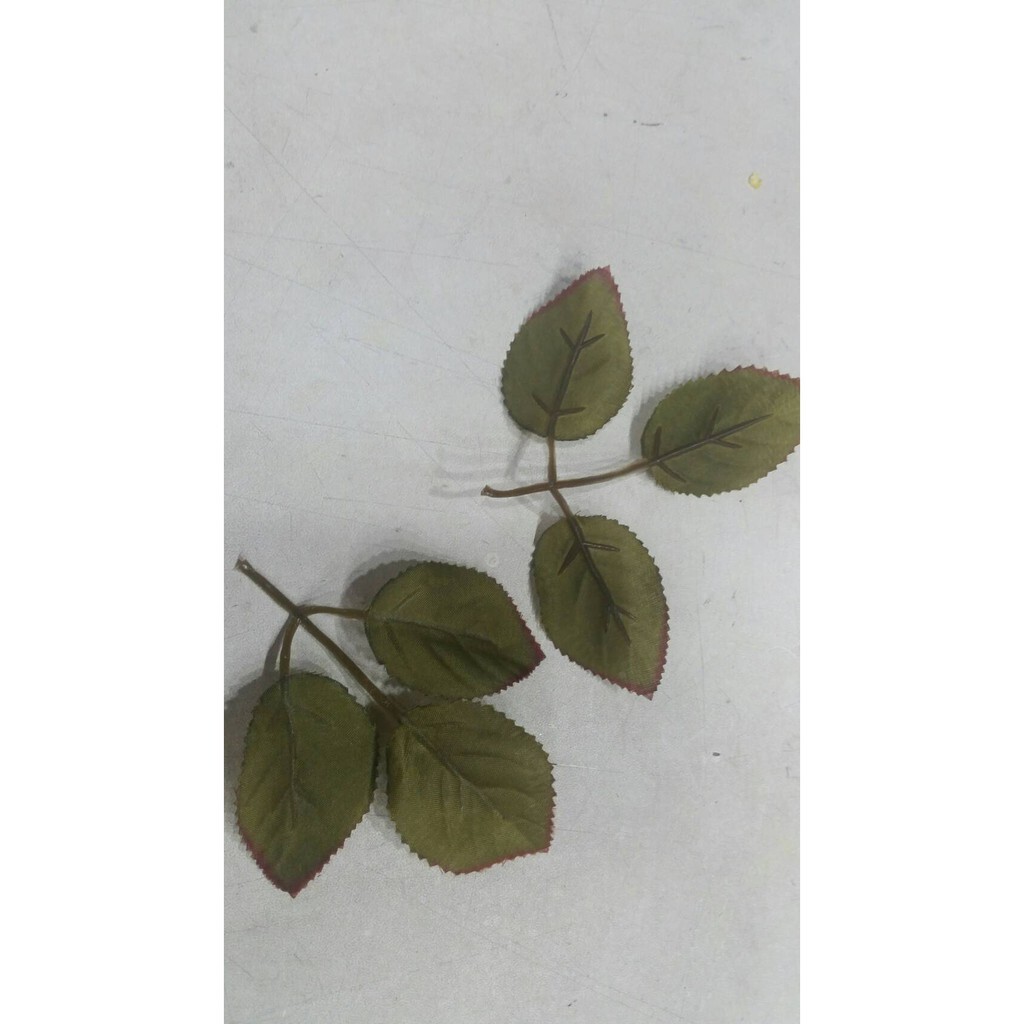 【台灣現貨速發】玫瑰葉子 仿真葉片｜一次出貨十片 一片2圓