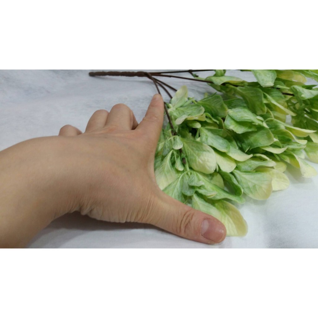 【台灣現貨速發】創意仿真圓葉水草葉(人造花)