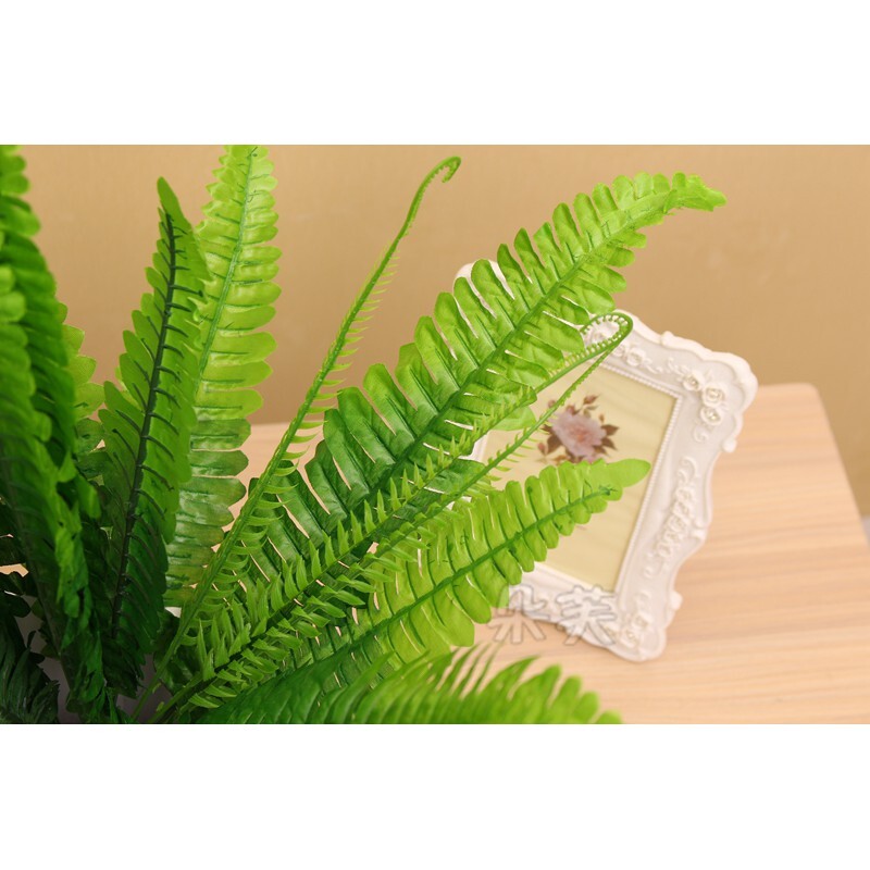 【台灣現貨速發】仿真玉羊齒｜仿真 人造花 人造仿真植物 創意仿真植物 裝飾