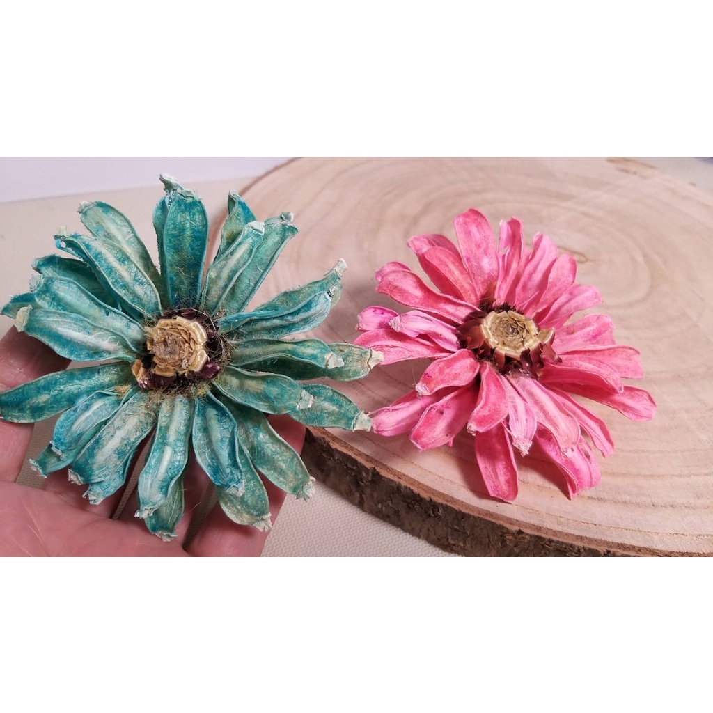 【台灣現貨速發】彩色向日葵 手工向日葵 乾燥花 大太陽花頭