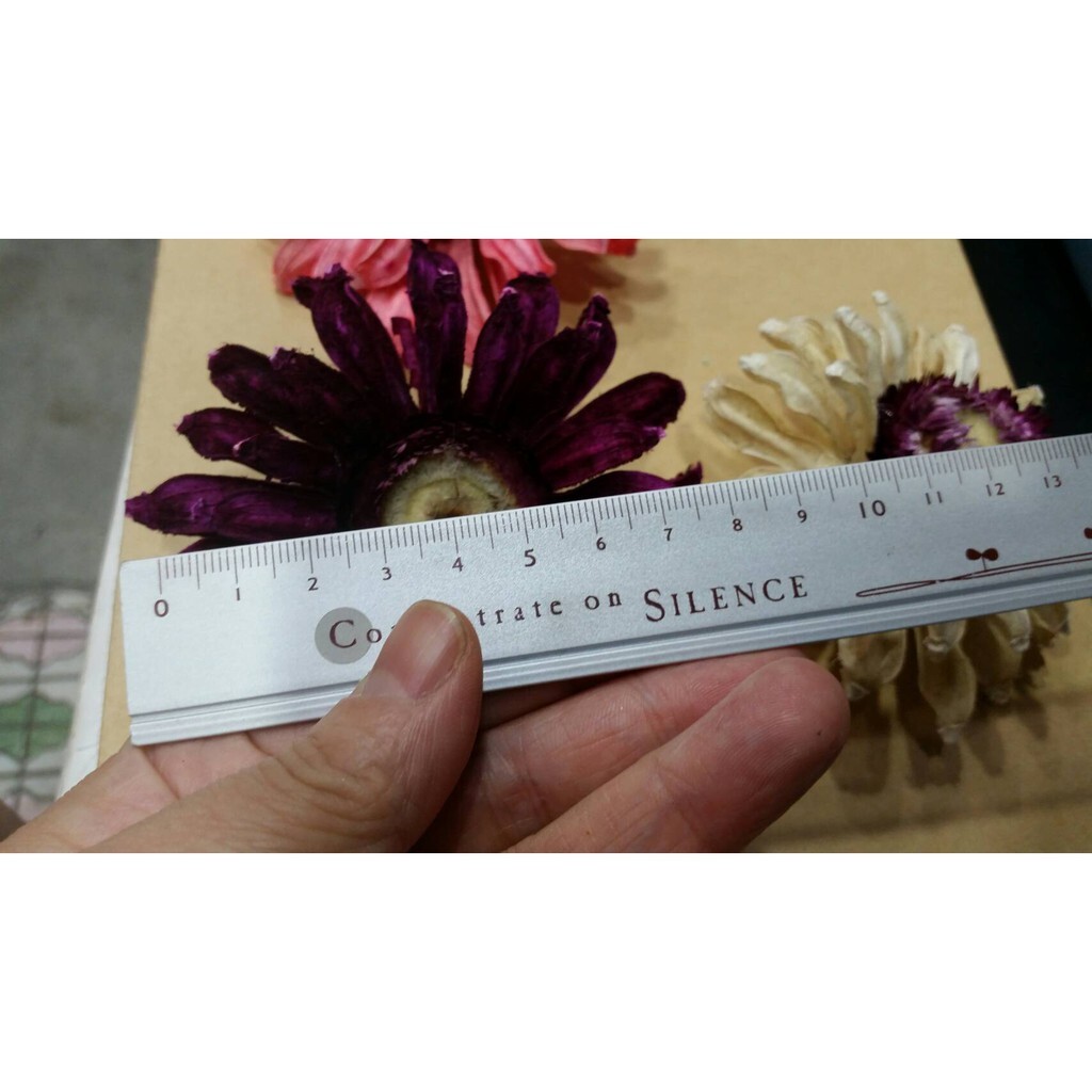 【台灣現貨速發】彩色向日葵 手工向日葵 乾燥花 大太陽花頭