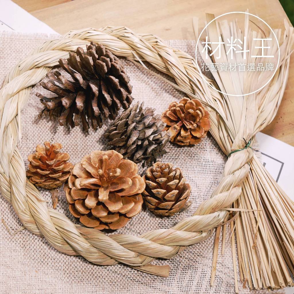 【台灣現貨速發】聖誕節 松果 毬果 |  8-10公分（大） | 聖誕樹裝飾 花圈裝飾 落羽松 乾燥花 乾燥素材