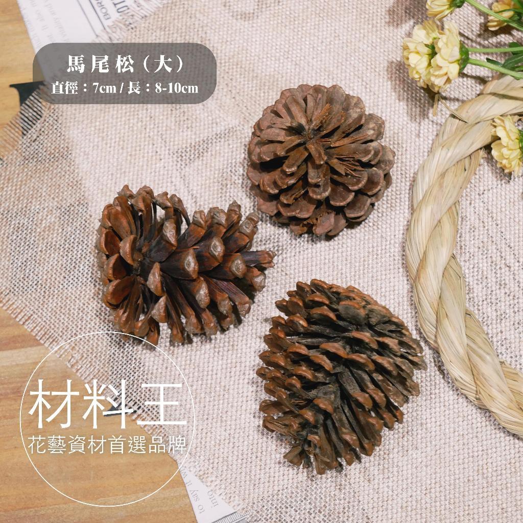 【台灣現貨速發】聖誕節 松果 毬果 |  8-10公分（大） | 聖誕樹裝飾 花圈裝飾 落羽松 乾燥花 乾燥素材