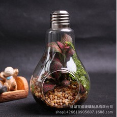 【台灣現貨速發】水燈泡型玻璃花器 (花瓶)