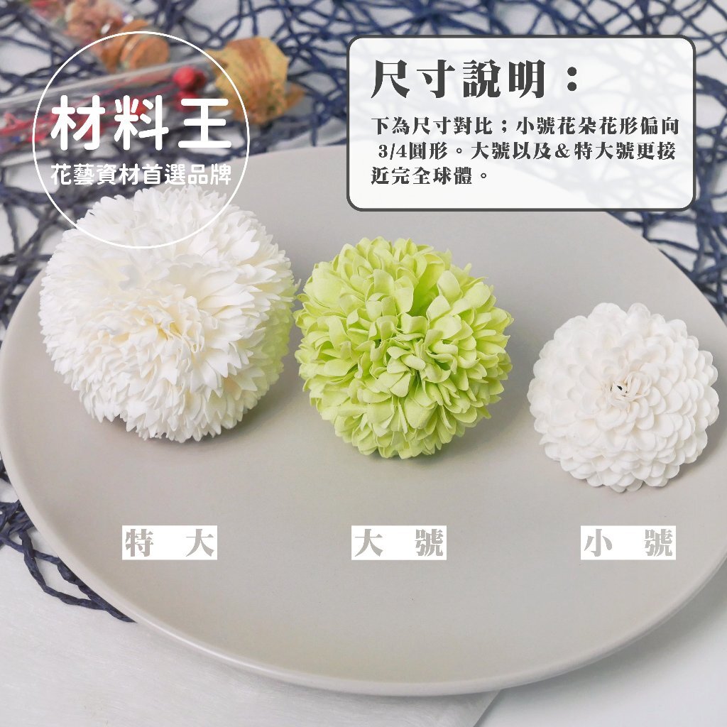 【台灣現貨速發】兵乓菊 香皂花｜單朵販售 圓球花頭｜乒乓菊 巨型球菊 香皂花束