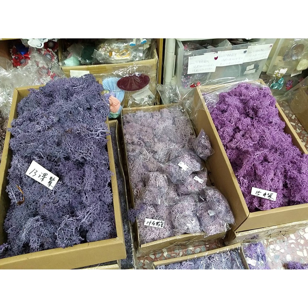 【台灣現貨速發】永生水草苔蘚 馴鹿苔蘚｜５００克整盒原裝 ｜多種顏色 苔蘚 水草 永生花 乾燥花