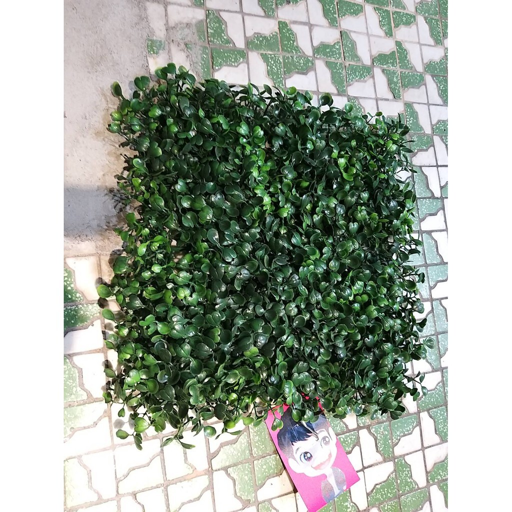 【台灣現貨速發】七里香草皮一片60元，批發45元起｜30 cm正方