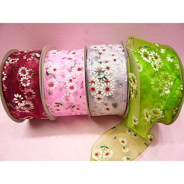 【台灣現貨速發】太陽花紗帶｜寬5公分 20碼【出清】