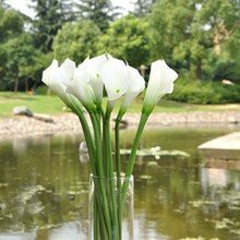 【台灣現貨速發】創意仿真海芋(人造花)