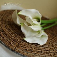 【台灣現貨速發】創意仿真海芋(人造花)