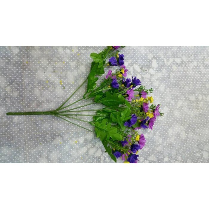 【台灣現貨速發】小波斯菊(小雛菊)花