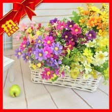 【台灣現貨速發】小波斯菊(小雛菊)花