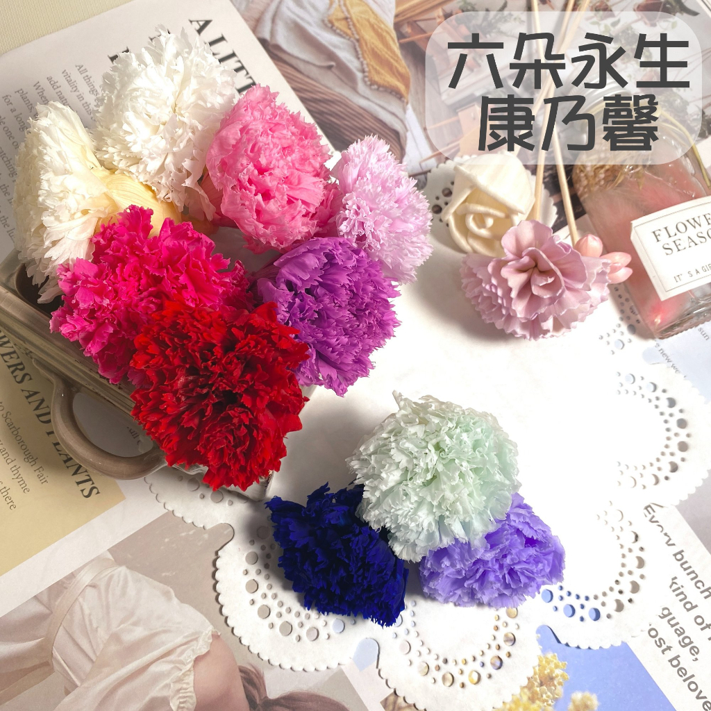 【台灣現貨速發】六朵永生康乃馨 永生花 六朵裝 不凋花 母親節