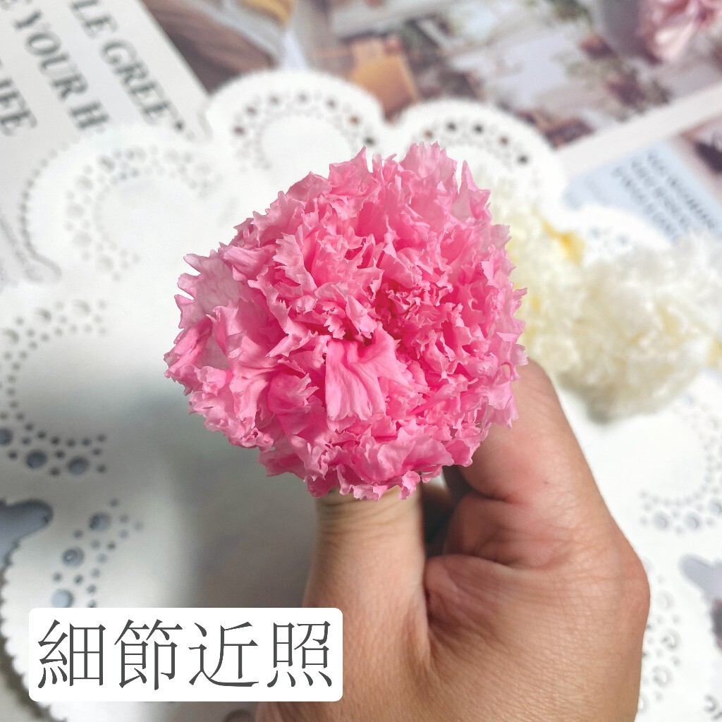 【台灣現貨速發】六朵永生康乃馨 永生花 六朵裝 不凋花 母親節