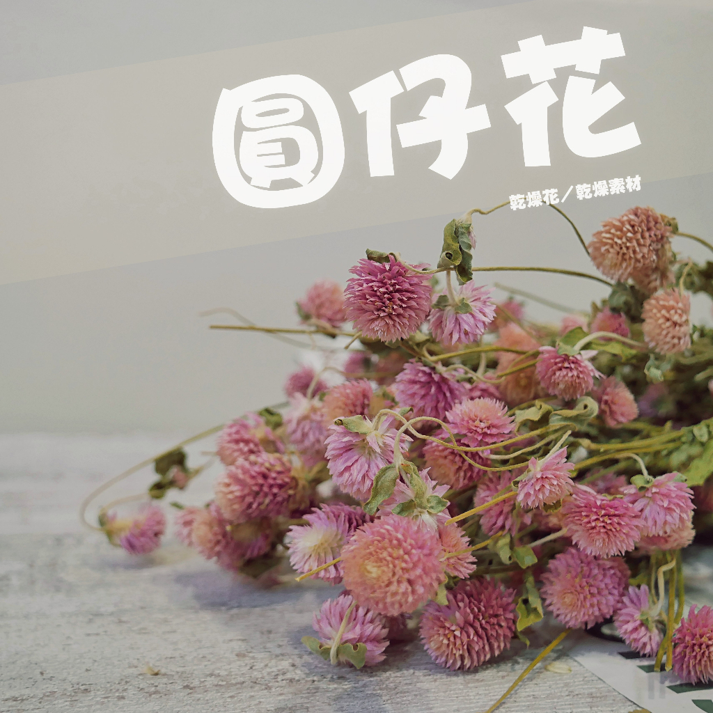 【台灣現貨速發】圓仔花//千日紅乾花//乾燥花